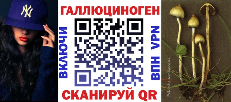 нарко площадка состав  Тутаев  Псилоцибиновые грибы Psilocybe 